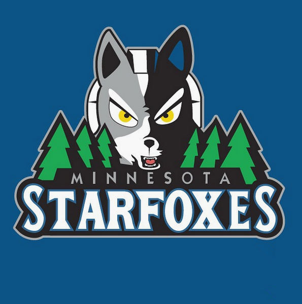 Minnesota Starfoxes logo iron on transfers